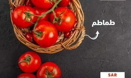 FB IMG 1675317721211