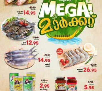 FB IMG 1697047677156