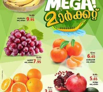FB IMG 1699476133829