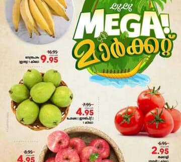 FB IMG 1700071665934