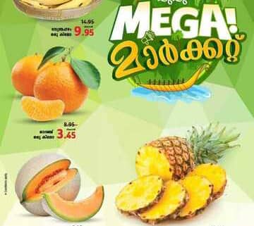 FB IMG 1700725773304