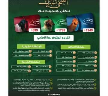 IMG ٢٠٢٤٠٦١٢ ٢١٢٧٢٧ 1