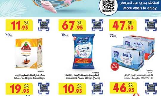 MADINAH JEDDAH MAKKAH TAIF 26 06 2024 till 02 07 2024 1