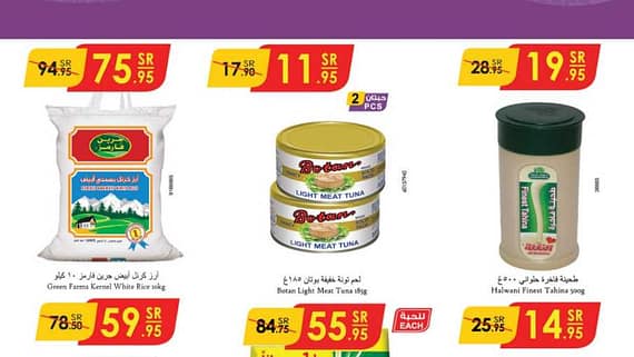 الرياض الدانوب2 241009 102931 1