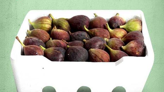 عروض العامر ماركت
