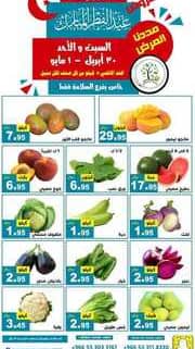 عروض حصاد البساتين