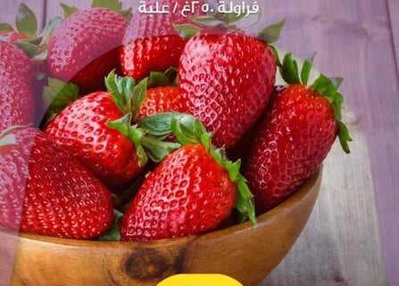 عروض الدانوب
