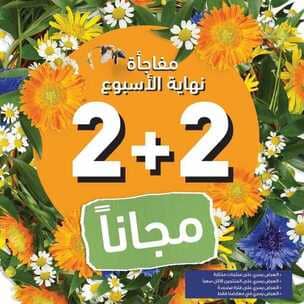 عروض ايف روشيه